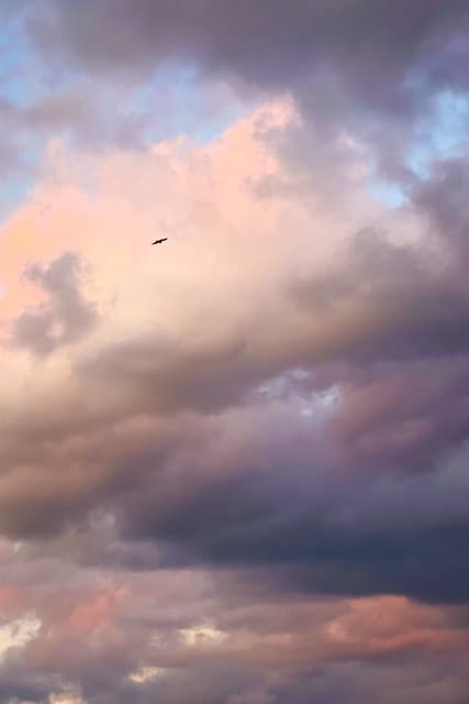 A particularly brilliant sunset in Uji, Japan (2024)