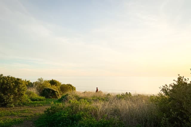 Figure at the edge of the world in Malibu (2024)